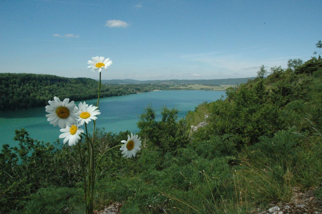 Chalet Des Planchettes Marigny  Esterno foto